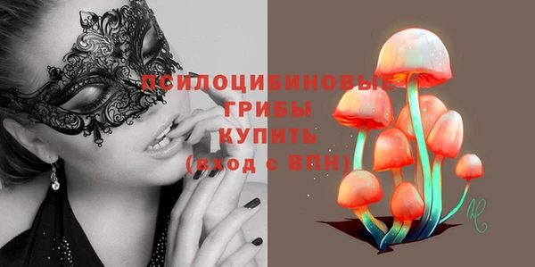 эйфоретик Алзамай