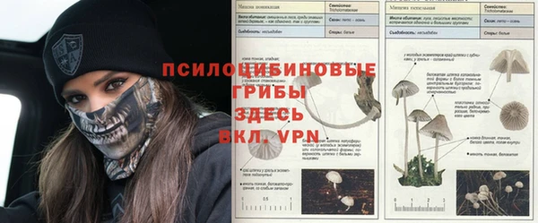 гидропоника Алексин