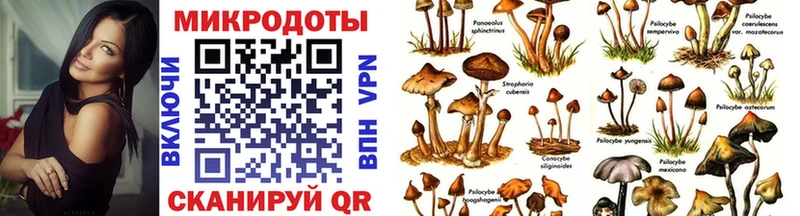 закладки  Могоча  Галлюциногенные грибы Magic Shrooms 